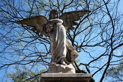 Zakład usług pogrzebowych Ameno Korczyna, Krosno Tomkiewicz Krystyna